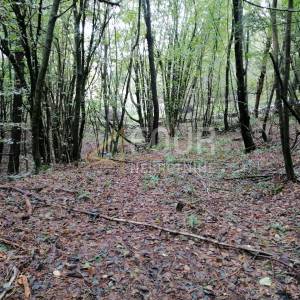 Klana, građevinsko zemljište 4.803m2