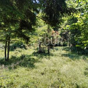 Klana - okolica, poljoprivredno zemljište 2.330m2