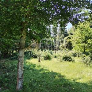 Klana, poljoprivredno zemljište 392m2