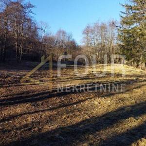Klana, poljoprivredno zemljište od 9.011m2