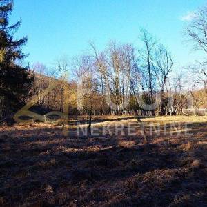 Klana, poljoprivredno zemljište od 9.011m2