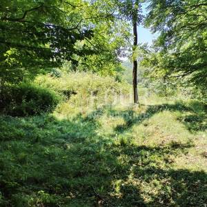 Klana, Studena, poljoprivredno zemljište 426m2