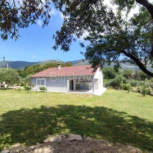 K.Novi, novogradnja prizemnica na 1239 m2 zemljišta prodaja