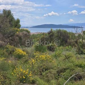 K.Novi Rudine poljoprivredno zemljište, 2 čestice, prodaja