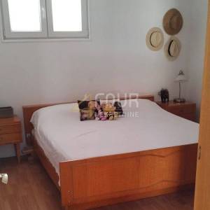 Korčula, Lumbarda, kuća s dva stana 180m od mora!