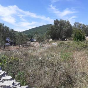Korčula, Vela Luka, prodaja zemljište,677m2