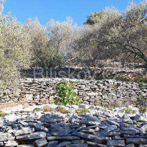 Korčula, Vela Luka, prodaja zemljišta 1. red