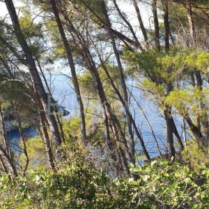 Korčula, Vela Luka, prodaja zemljišta 1. red