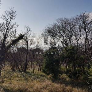 KOSTRENA - građevinsko zemljište 1860m², prodaja