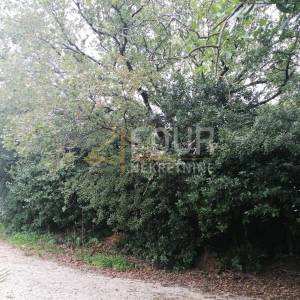 Kostrena, građevinsko zemljište 3.281m2, pogled na more