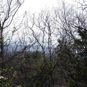 KRALJEVICA -građevinsko zemljište 2361m2 s pogledom na more za obiteljsku kuću / villu / apartmane / kuću za iznajmljivanje - o...