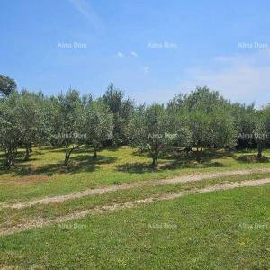 KRNICA - Prodaje se građevinsko zemljište 1070 m2