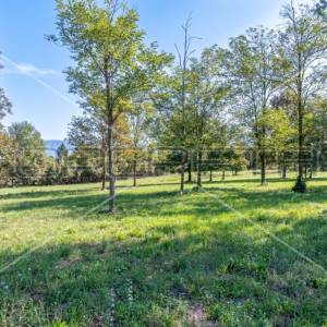 Kršan, građevinsko zemljište 1.500 m2 na predivnoj lokaciji