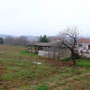 Kuća Bale