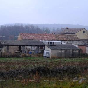 Kuća Bale