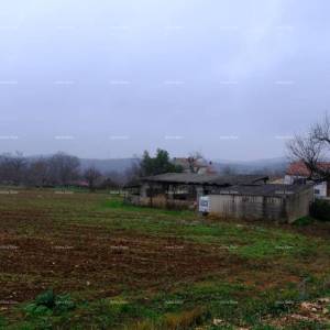 Kuća Bale