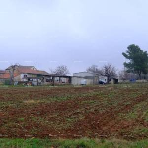 Kuća Bale