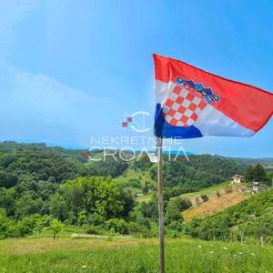 Kuća, klijet, livada, šuma, sa izvorom vode! 