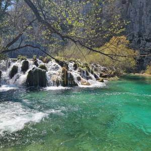 Kuća s okućnicom i 4 građevinska terena u blizini NP Plitvička jezera