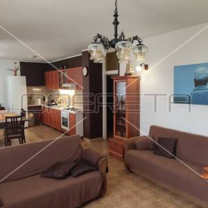 Kuća s predivnim dvorištem u Lozovcu, 789 m2