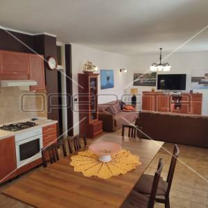 Kuća s predivnim dvorištem u Lozovcu, 789 m2