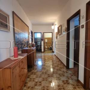 Kuća sa otvorenim pogledom na more i zadarsko područje, Ugljan, 310 m2