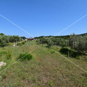 Kuća Vis, 38+25m2, imanje 6.888m2