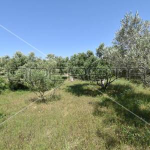 Kuća Vis, 38+25m2, imanje 6.888m2