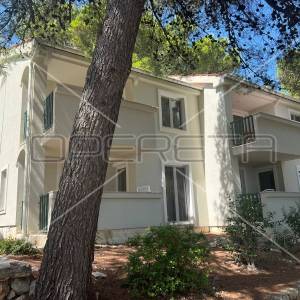 KUKLJICA, OTOK UGLJAN (OKOLICA ZADRA), novouredjeni apartmani