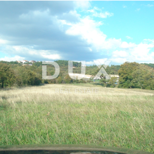 KUKULJANOVO, ČAVLE- starina 200m2 + građevinsko zemljište 11500m2 u industrijskoj zoni (namjena: trgovačka, zanatska, industrij...