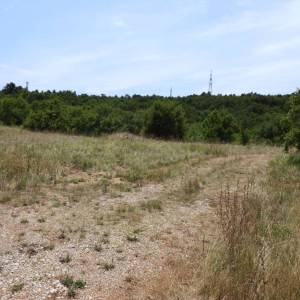 KUKULJANOVO INDUSTRIJSKA ZONA - građevinski teren 4570m2 za halu / poslovnu zgradu