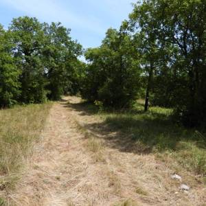 KUKULJANOVO INDUSTRIJSKA ZONA - građevinski teren 4570m2 za halu / poslovnu zgradu