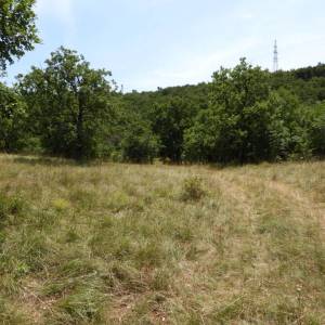 KUKULJANOVO INDUSTRIJSKA ZONA - građevinski teren 4570m2 za halu / poslovnu zgradu