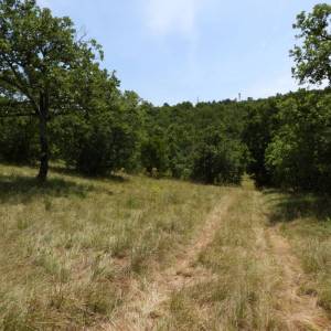 KUKULJANOVO INDUSTRIJSKA ZONA - građevinski teren 4570m2 za halu / poslovnu zgradu