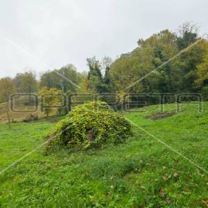 Kureljeva ulica, Oroslavje, 2.762,00 m2, 51.000,00 EUR
