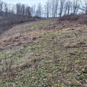 K.ZAGORJE: seosko imanje 12 ha, livade, šume, g.objekt 38 000 € (prodaja)