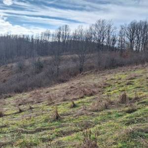 K.ZAGORJE: seosko imanje 12 ha, livade, šume, g.objekt 38 000 € (prodaja)
