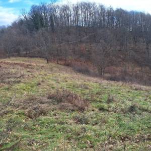 K.ZAGORJE: seosko imanje 12 ha, livade, šume, g.objekt 38 000 € (prodaja)
