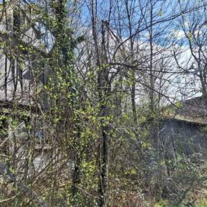 K.ZAGORJE: seosko imanje 12 ha, livade, šume, g.objekt 38 000 € (prodaja)