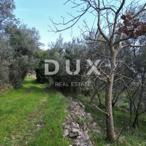 LABIN, SVETA MARINA- 2 građevinska zemljišta 935m2 sa starom kućom, pogledom na more i 2 idejna projekta