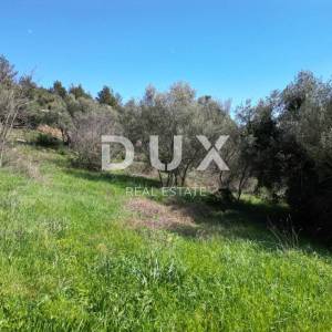 LABIN, SVETA MARINA- 2 građevinska zemljišta 935m2 sa starom kućom, pogledom na more i 2 idejna projekta