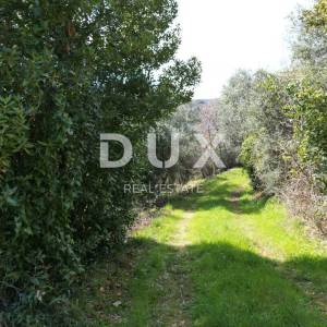 LABIN, SVETA MARINA- 2 građevinska zemljišta 935m2 sa starom kućom, pogledom na more i 2 idejna projekta