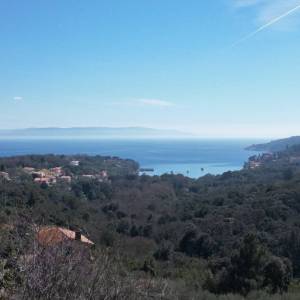 LABIN, SVETA MARINA- građevinsko zemljišto 435m2 sa starom kućom, s pogledom na more i idejnim projektom