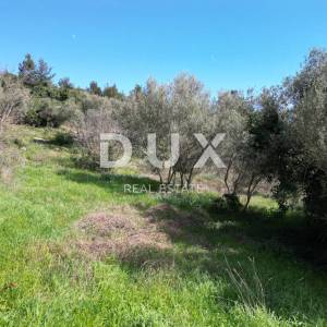 LABIN, SVETA MARINA- građevinsko zemljišto 435m2 sa starom kućom, s pogledom na more i idejnim projektom