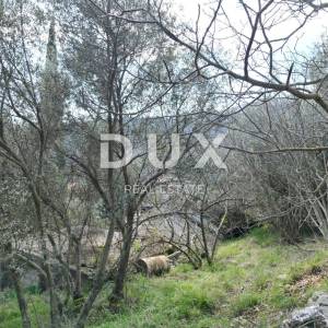 LABIN, SVETA MARINA- građevinsko zemljišto 435m2 sa starom kućom, s pogledom na more i idejnim projektom