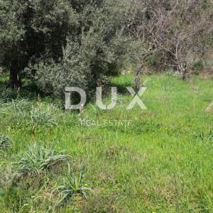 LABIN, SVETA MARINA- građevinsko zemljišto 435m2 sa starom kućom, s pogledom na more i idejnim projektom