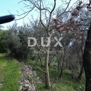 LABIN, SVETA MARINA- građevinsko zemljište 500m2 s pogledom na more i idejnim projektom