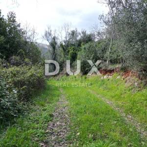 LABIN, SVETA MARINA- građevinsko zemljište 500m2 s pogledom na more i idejnim projektom