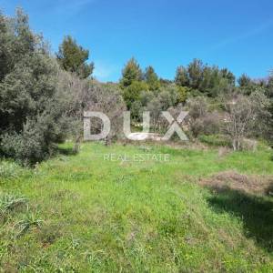 LABIN, SVETA MARINA- građevinsko zemljište 500m2 s pogledom na more i idejnim projektom