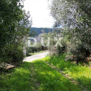 LABIN, SVETA MARINA- stara kuća s građevinskim zemljištem 935m2, pogledom na more i 2 idejna projekta